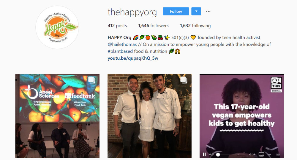 screenshot of INstagram profile of the happ org